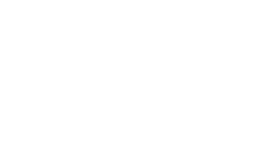 DSL Primary_White-72PPI
